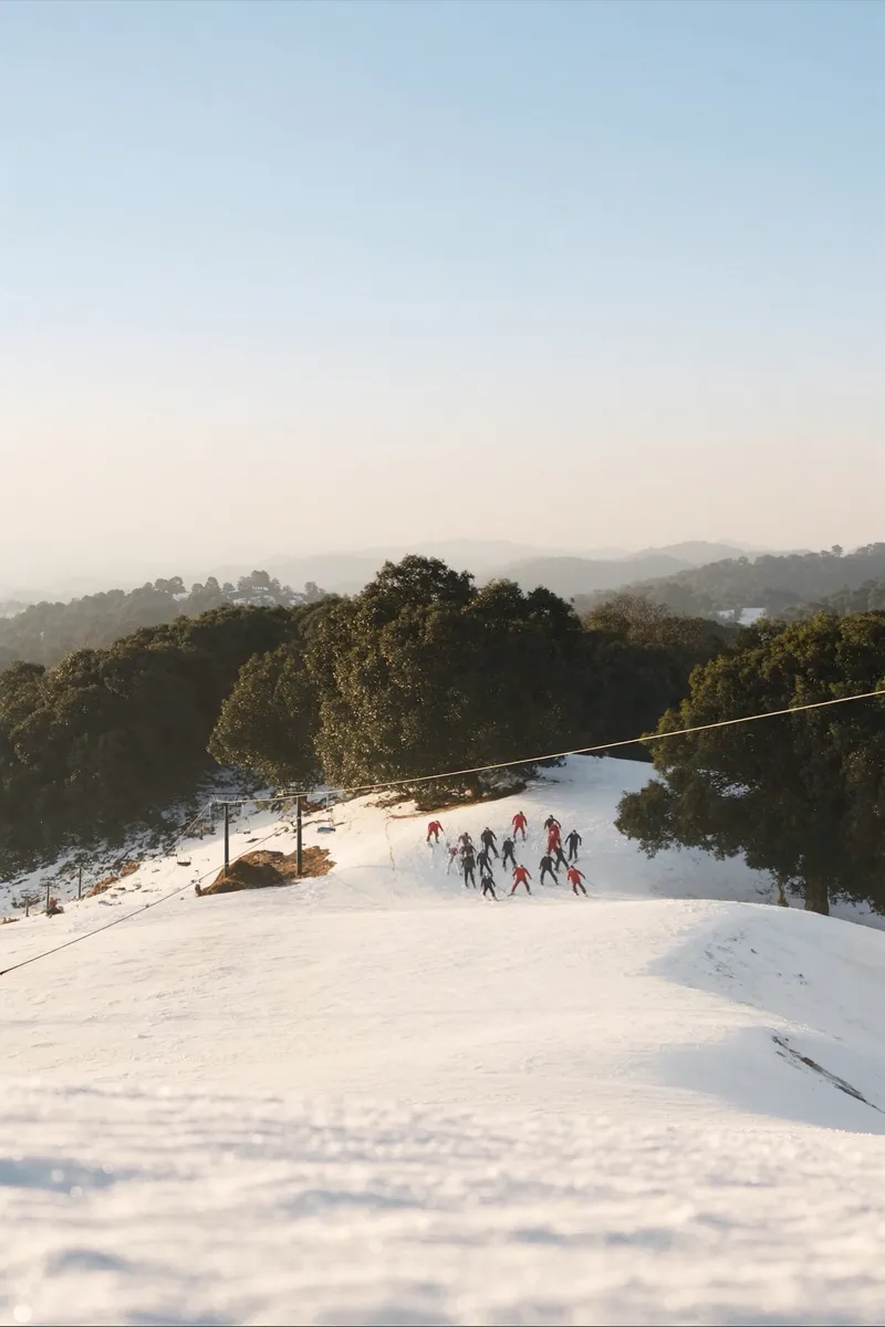 Auli tour packages — YashTrip destination